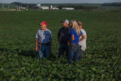 People in soybean field