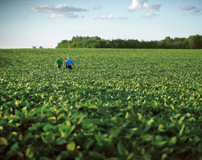 Glyphosate-resistant Weeds