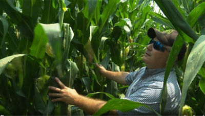 Corn Research Innovation