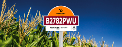 placa_milho_B2782PWU