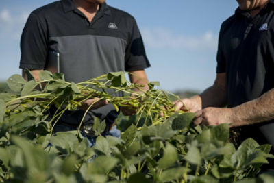Agronomy for Forward-thinking Farmers