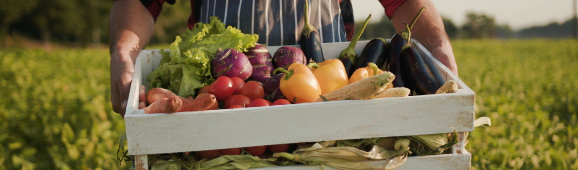 La alimentación y las experiencias gastronómicas
