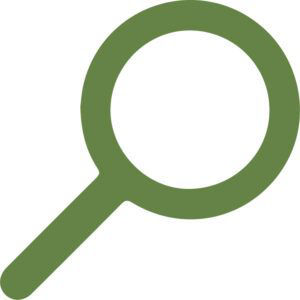 magnifying glass icon
