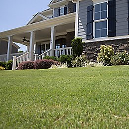 Image of residential home with landscaping