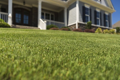 Image of lawn and house