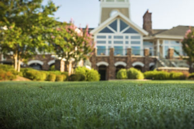 Image of residential lawn with home in background