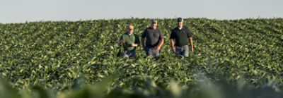 Several reps and farmers in field - midseason - all facing camera