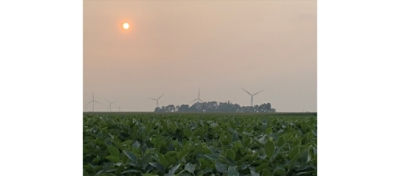 Is Smoke from Wildfires Affecting Crop Yields?