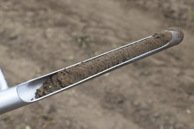 Soil sampling probe filled with soil