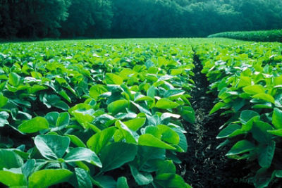 Thank you for signing up!