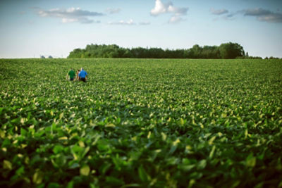 Pioneer® Brand Soybeans. Number One for a Reason.