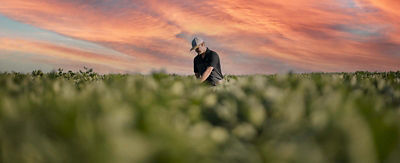 Soybean yield hero - 100 bu yields