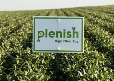 Plenish® High Oleic Soybeans