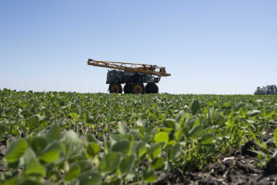 Spraying operation - soybean field