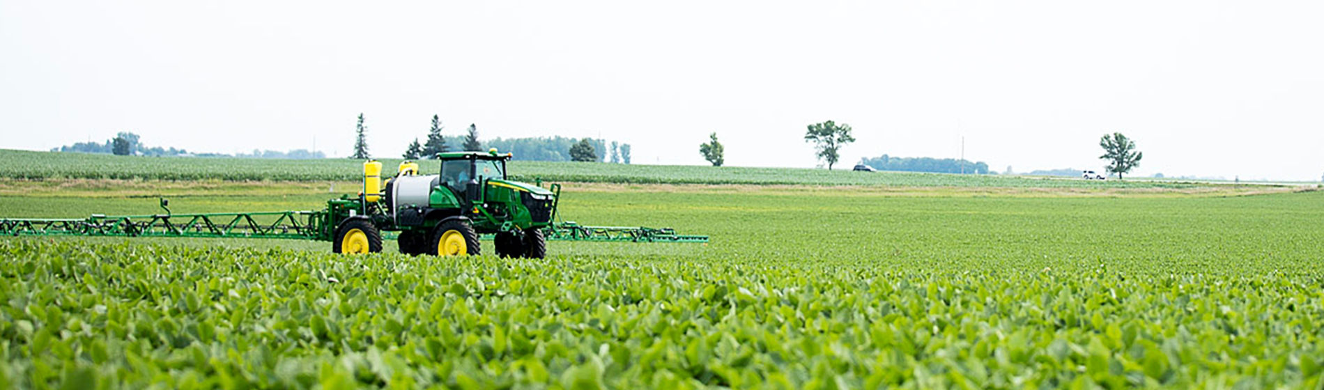 Sprayer in middle of field