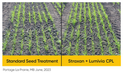 Portage la Prarie comparison - Straxan