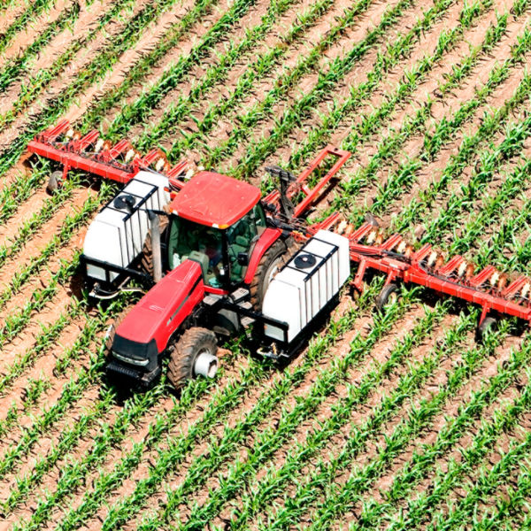 Successful sidedress