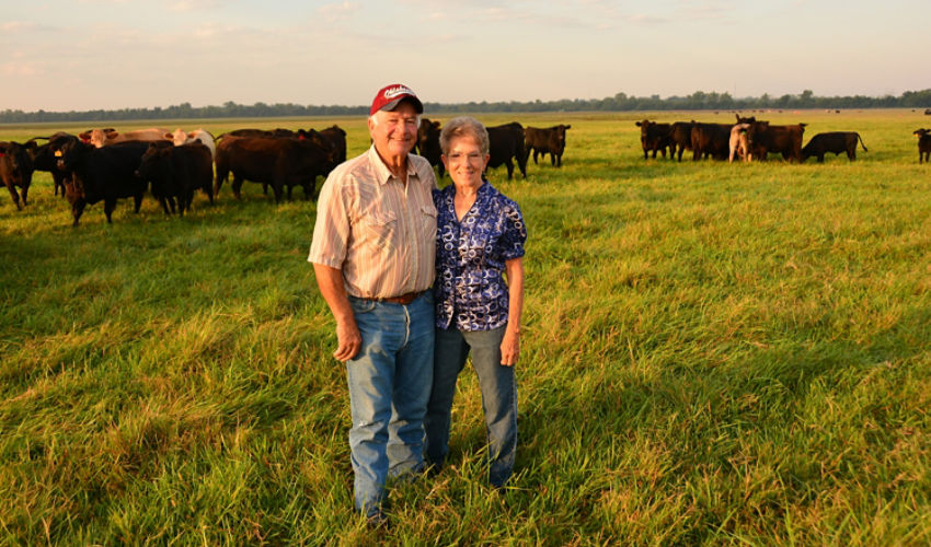 Couple standing in their pasture
