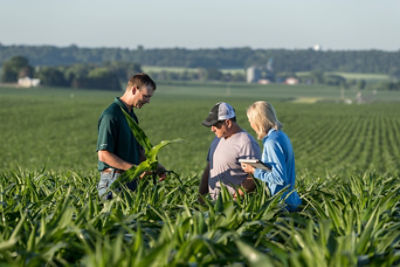 Pro Farmer Crop Tour