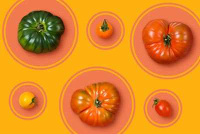 Assortment of large, small and differently colored tomatoes