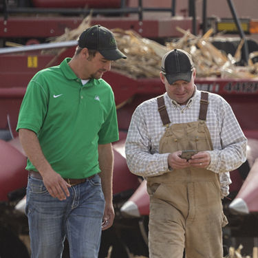Pioneer team, corn harvest
