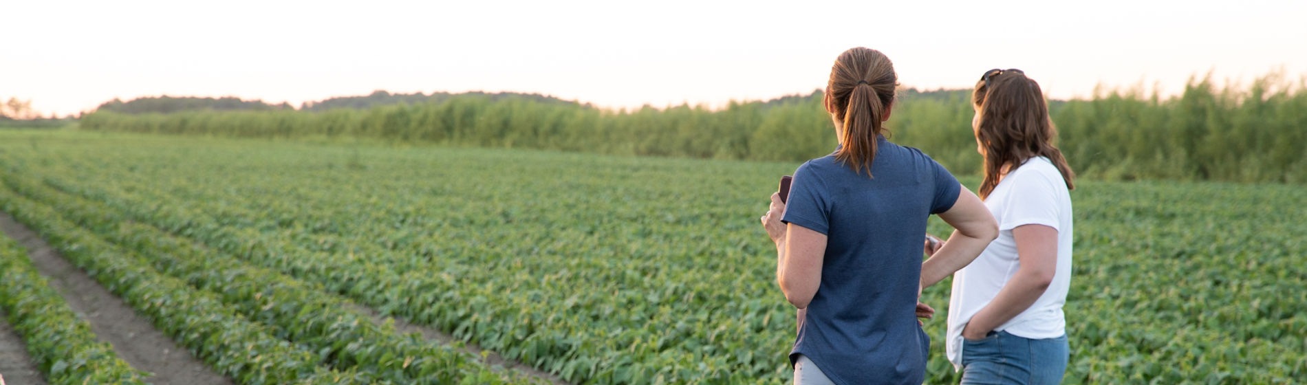 two women in bean field