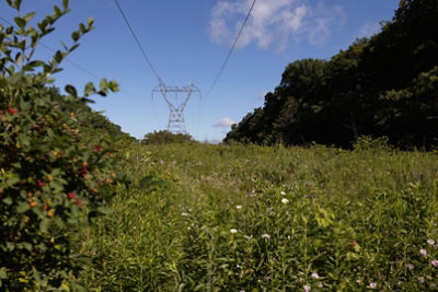 Utility ROW tower in background