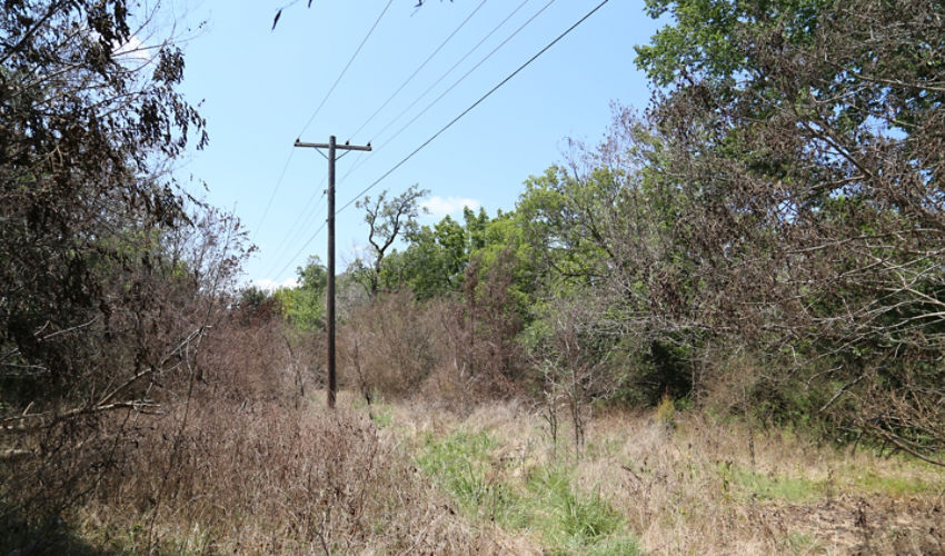 brush and powerlines