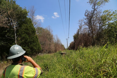 Utility powerlines