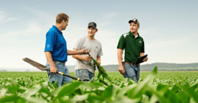 People walking in cornfield - midseason