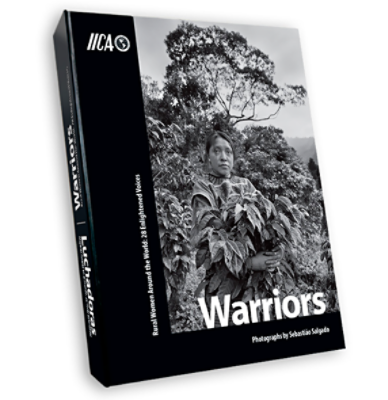 Warriors book cover