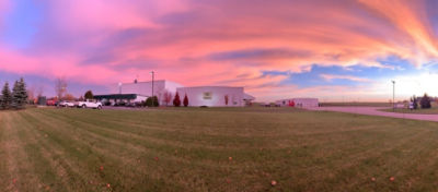 wingham production plant