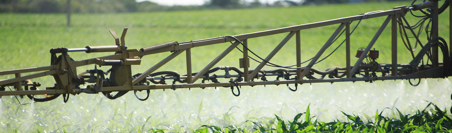 Zoomed in sprayer arm spraying corn