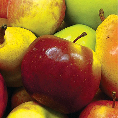 Apple Banner Mobile