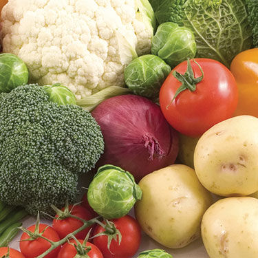 Vegetables Banner Mobile