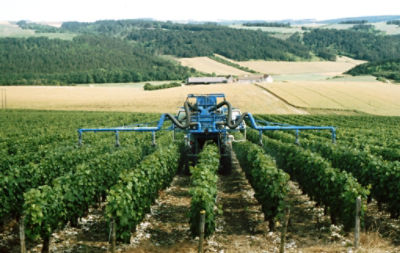 Erbicidi, fungicidi e insetticidi per la protezione delle colture