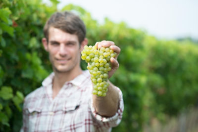 Migliorare le Performance