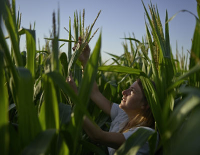 Resistere alle avversità