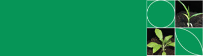 IMG_1083.8_Novo_layout_site_Plantas_daninhas-02_Brazil_Corteva-V1