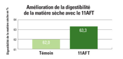 11AFT Dry Matter Digestibility Improvement Chart