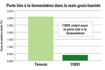 11B91 Shrink Loss in High Moisture Corn Chart