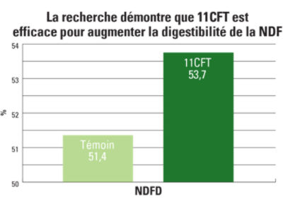 11CFT carte de l’amélioration de la digestibilité de la NDF