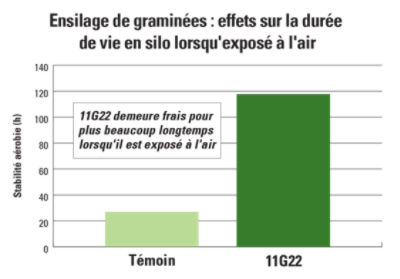 11G22 carte de l’effet de l’ensilage de graminées sur la durée de vie en silo