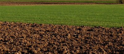 terreno da campionare