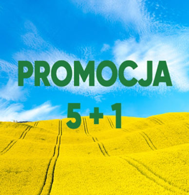 Promocja 5+1