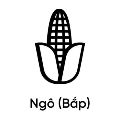 Ngô