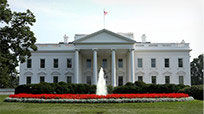 the White House