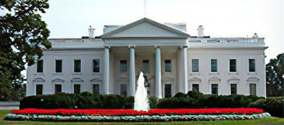 Picture of the White House