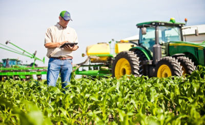 Farmer checking corn field using tablet