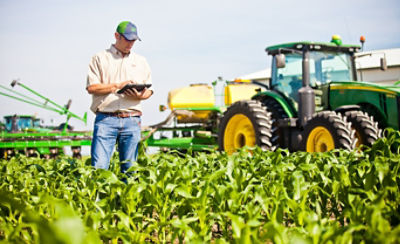 Image of farmer checking field